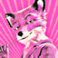 Sly_Fox
