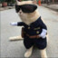 Polis Emre