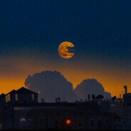 满山猴子我腚最红