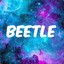 Beetle