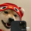 Sl0wlY-