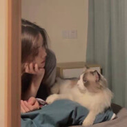 憨憨涵涵睡不醒