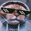 señor cat