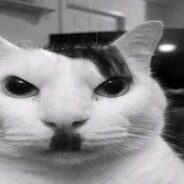 Kitler