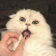 山有木兮木有枝