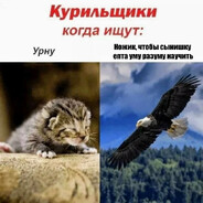 Sу4uй|П0TP0)(_XXL