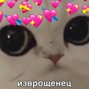 Изврошенец❤