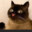Stoof