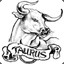 Taurus