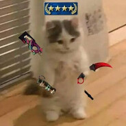 Dixit_77 Steam avatar