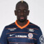 Mamadou Sakho