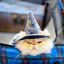 Wizardcat