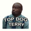 Top Dog Terry
