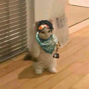 apex转瓦再转apex