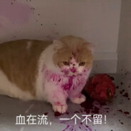 我到底在期待什么