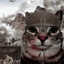 Soldier Feline