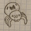 Arachxy