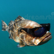 Chief executive officer of Fish