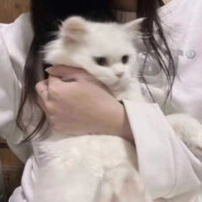 小屁孩什么都玩