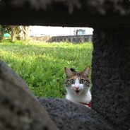 Господь Бог