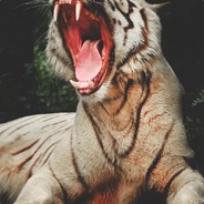 Big Avatar