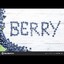 ᠌Berry