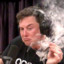 High 🍀 Elon 🍀 Musk