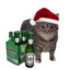 Alcoholic Cat