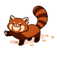 Chibi:  the Red Panda of Chaos