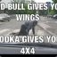 redbull wings