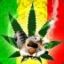 JaMaIcaHaYeS80