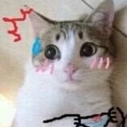 仿生那个会梦见电子棉花吗