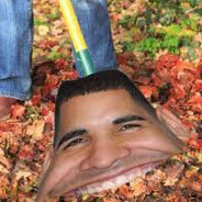 Drake as a Rake