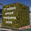 17 million pound marijuana brick