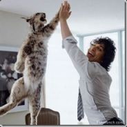 Anubiz - steam id 76561197971012677