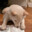 FizzBuzz