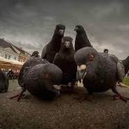 Аедрей Малахов