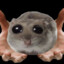 FOZXCTROT