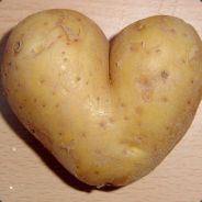 SexuallyFrusteratedPotato