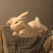 武松爱吃萝卜蘸辣酱