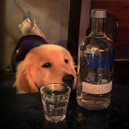 奕奕大王天下第一