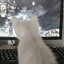 Avatar of player panicattack
