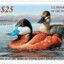 DuckStamp