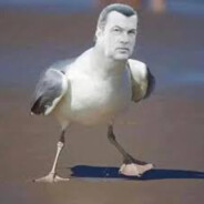 Steven Seagull