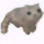 蝉