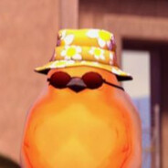 Player Avatar