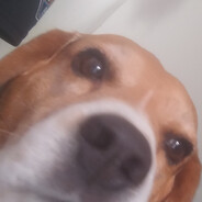 Gastoncinh0SSJッ avatar