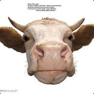 笑牵四猪打五狗