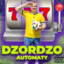 DJ Dzordzo