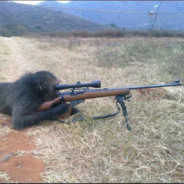 yes im a simp sniper monke!!!